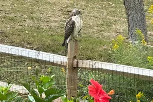 5007 Bogey Ct, Lebanon, OH 45036 - Photo 49