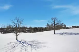 863 Grand Cypress, Pierce Township, OH 45245 - Photo 45