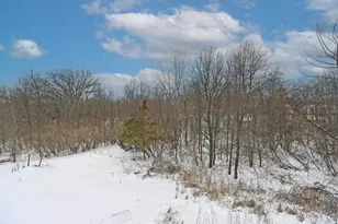 767 Elm Tree Dr, Morrow, OH 45152 - Photo 41