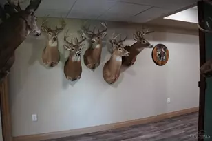 1949 Inlow- Tract 1 Ave, Peebles, OH 45660 - Photo 49