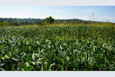 1949 Inlow- Tract 1 Avenue, Peebles, OH 45660 - Photo 75