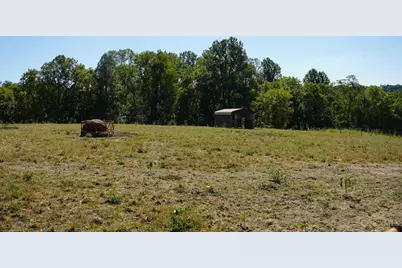 1949 Inlow- Tract 1 Avenue, Peebles, OH 45660 - Photo 3