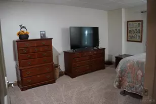 1949 Inlow- Tract 1 Ave, Peebles, OH 45660 - Photo 41