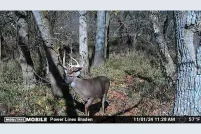 0 Inlow- Tract 2 Avenue, Peebles, OH 45660 - Photo 21