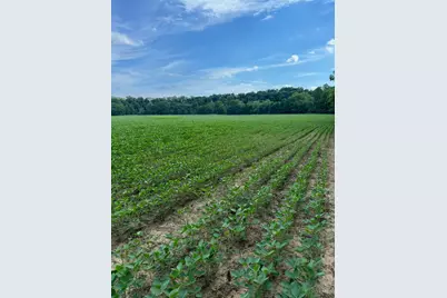 0 Inlow- Tract 2 Avenue, Peebles, OH 45660 - Photo 9