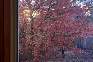 1005 Parkside Pl, Cincinnati, OH 45202 - Photo 51