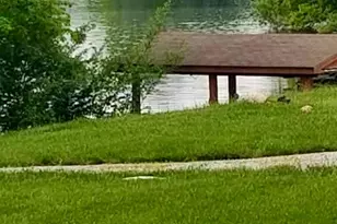 6 Mohican Cove, Sardinia, OH 45171 - Photo 1