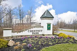 3564 Chestnut Park Ln, Miami Township, OH 45002 - Photo 29