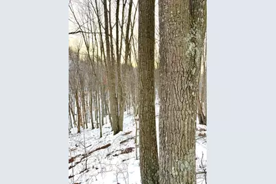 0 Carrs Run, Jackson Township, OH 45613 - Photo 39