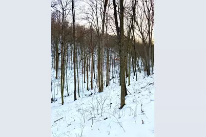 0 Carrs Run, Jackson Township, OH 45613 - Photo 53