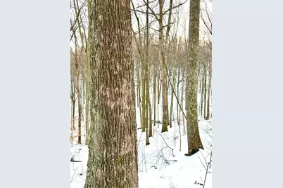 0 Carrs Run, Jackson Township, OH 45613 - Photo 55