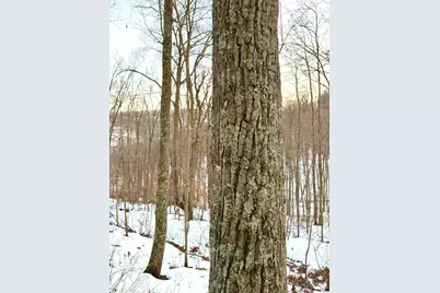 0 Carrs Run, Jackson Township, OH 45613 - Photo 61