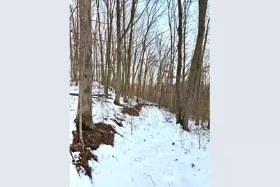 0 Carrs Run, Jackson Township, OH 45613 - Photo 41