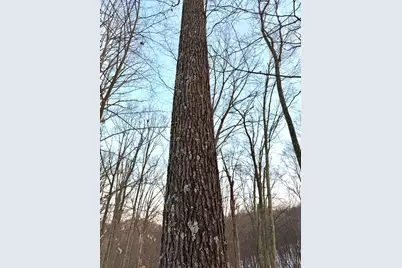 0 Carrs Run, Jackson Township, OH 45613 - Photo 59