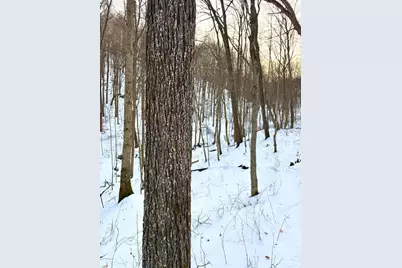 0 Carrs Run, Jackson Township, OH 45613 - Photo 49