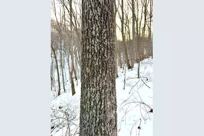 0 Carrs Run, Jackson Township, OH 45613 - Photo 13