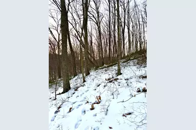 0 Carrs Run, Jackson Township, OH 45613 - Photo 63