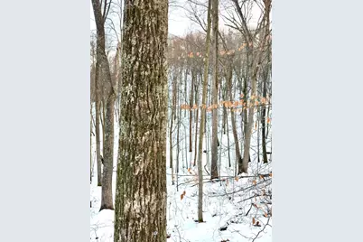 0 Carrs Run, Jackson Township, OH 45613 - Photo 43