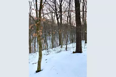 0 Carrs Run, Jackson Township, OH 45613 - Photo 11