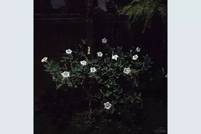 3726 Oakwood Drive, Pierce Township, OH 45102 - Photo 23