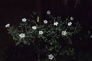 3726 Oakwood Dr, Pierce Township, OH 45102 - Photo 23