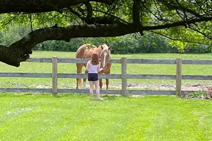 6991 Mauds Hughes Rd, Liberty Township, OH 45011 - Photo 57