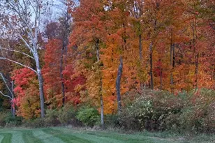 4322 Preston Pl, Batavia Township, OH 45103 - Photo 39