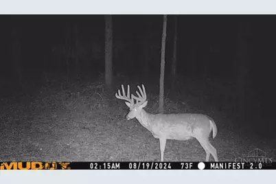 625 Branscome Road, Peebles, OH 45660 - Photo 31