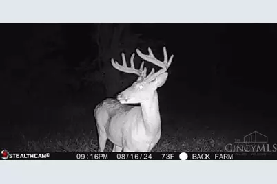 625 Branscome Road, Peebles, OH 45660 - Photo 37