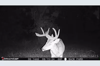 625 Branscome Road, Peebles, OH 45660 - Photo 41