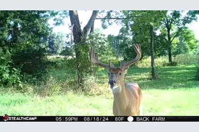 625 Branscome Road, Peebles, OH 45660 - Photo 35