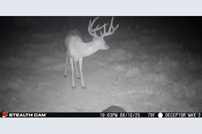 625 Branscome Road, Peebles, OH 45660 - Photo 55