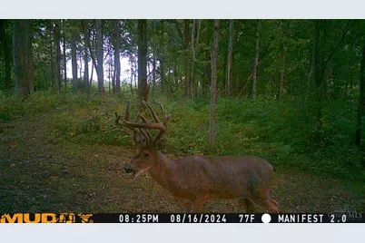 625 Branscome Road, Peebles, OH 45660 - Photo 43