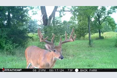 625 Branscome Road, Peebles, OH 45660 - Photo 25