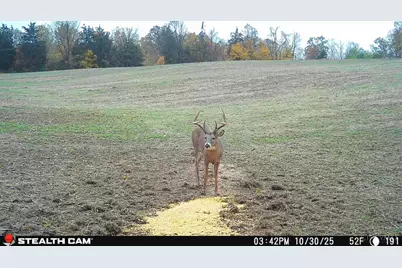 625 Branscome Road, Peebles, OH 45660 - Photo 53