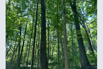 625 Branscome Road, Peebles, OH 45660 - Photo 13