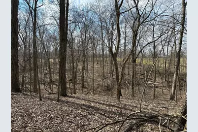 0 Wilson, Winchester, OH 45697 - Photo 57