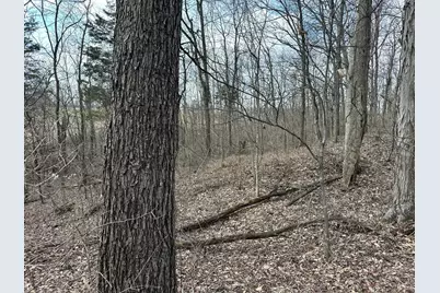 0 Wilson, Winchester, OH 45697 - Photo 61