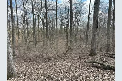 0 Wilson, Winchester, OH 45697 - Photo 17