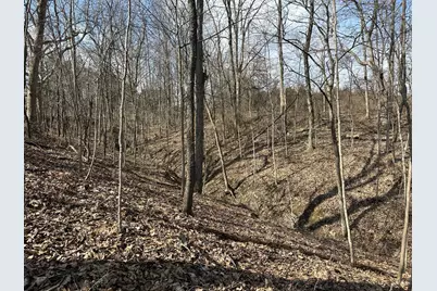 0 Wilson, Winchester, OH 45697 - Photo 25