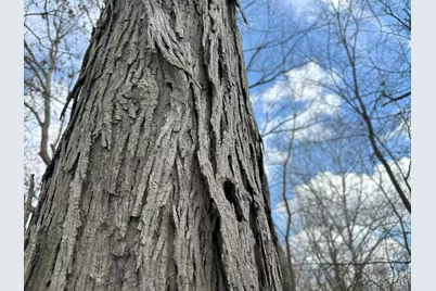 0 Wilson, Winchester, OH 45697 - Photo 47