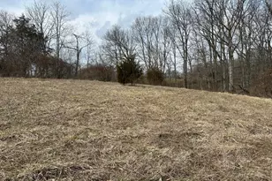 0 Wilson, Winchester, OH 45697 - Photo 1