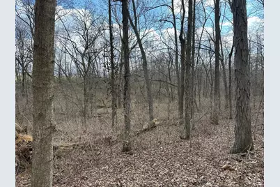 0 Wilson, Winchester, OH 45697 - Photo 45