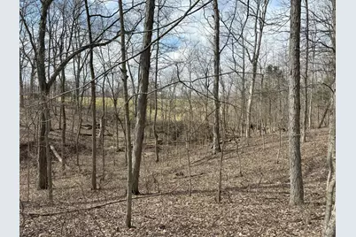 0 Wilson, Winchester, OH 45697 - Photo 11