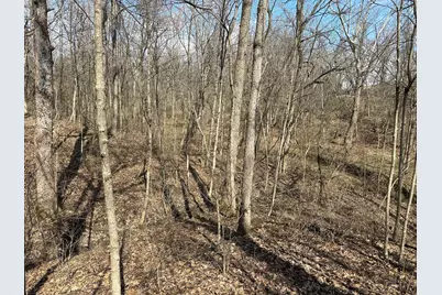 0 Wilson, Winchester, OH 45697 - Photo 15