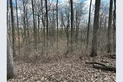 0 Wilson, Winchester, OH 45697 - Photo 55