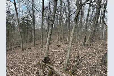 0 Wilson, Winchester, OH 45697 - Photo 59