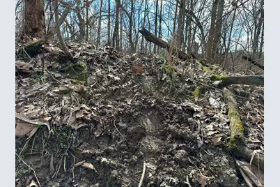 0 Wilson, Winchester, OH 45697 - Photo 51