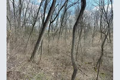 0 Wilson, Winchester, OH 45697 - Photo 7