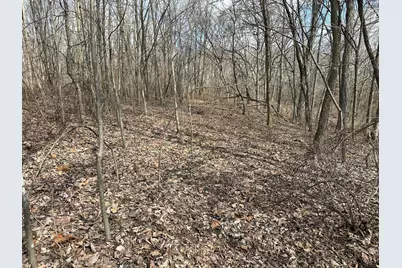 0 Wilson, Winchester, OH 45697 - Photo 41